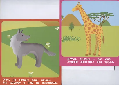 Животные в зоопарке. Набор развивающих карточек - фото 4