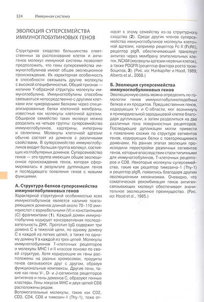 Наглядная генетика - фото 8