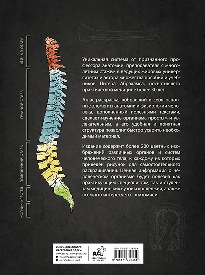 Анатомия Абрахамса. Атлас-раскраска - фото 2