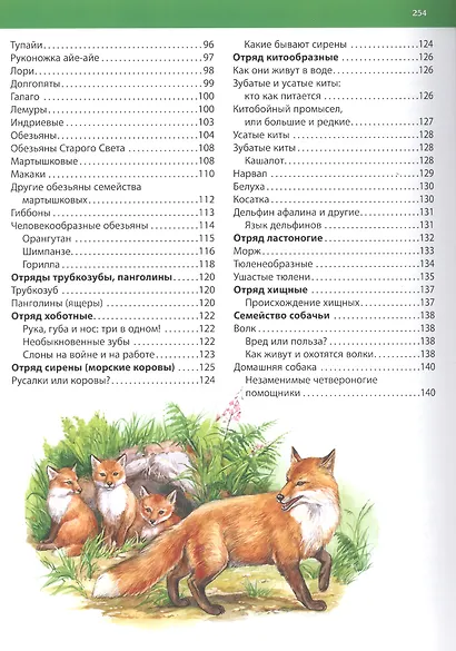 Большая энциклопедия животного мира - фото 4