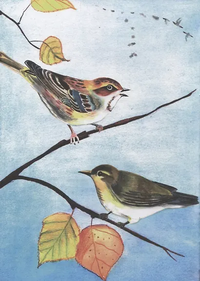 Большой сказочный календарь (илл. Блохина) Соколич - фото 4