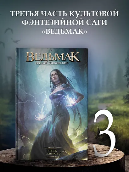 Кровь эльфов - фото 4