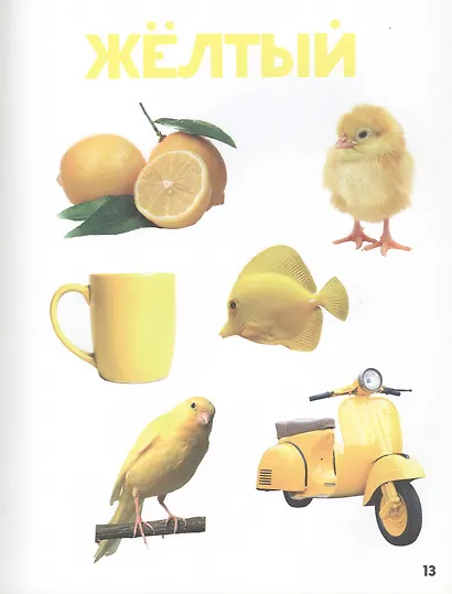 ГЛАВНАЯ КНИГА МАЛЫША матов.ламин.обл. выб.лак. офсет 203х257 - фото 4