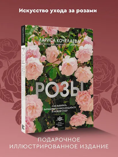Розы. Как выбирать, выращивать и наслаждаться в любом саду - фото 4