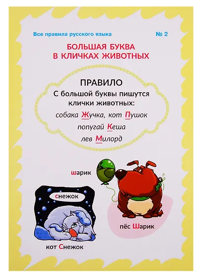 Обучающие многоразовые карточки. Все правила русского языка в картинках - фото 4