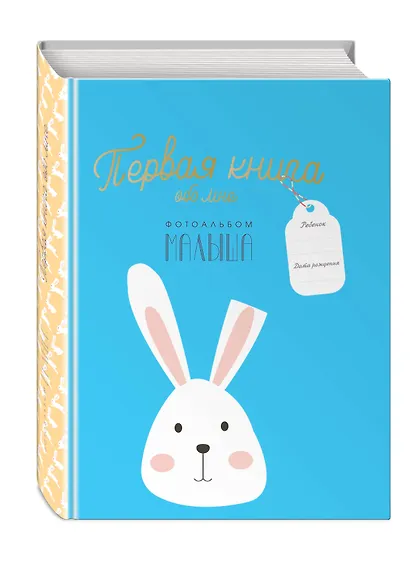 Первая книга обо мне. Фотоальбом малыша - фото 3