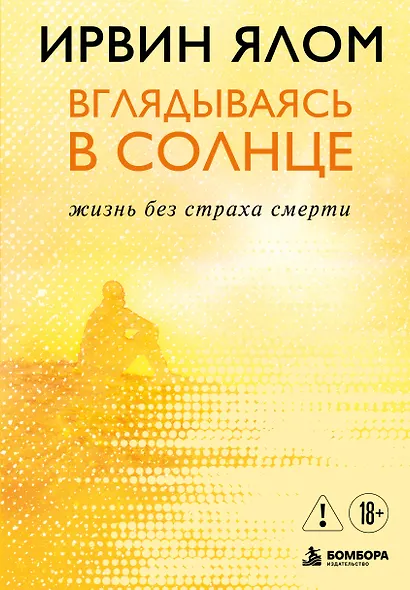 Вглядываясь в солнце. Жизнь без страха смерти - фото 1