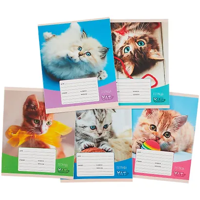 Тетрадь в клетку Listoff, "Игривые котята", 12 листов, в ассортименте - фото 7