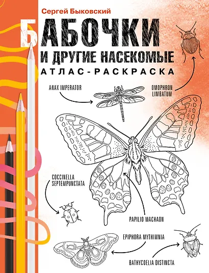 Бабочки и другие насекомые - фото 1