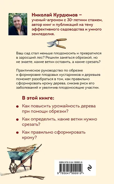 Обрезка и формировка деревьев и кустарников - фото 2