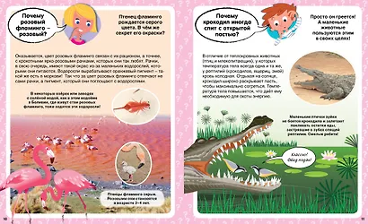 Почему? 100 вопросов и ответов в картинках - фото 4