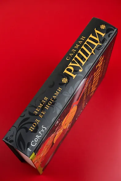 Земля под ее ногами - фото 7