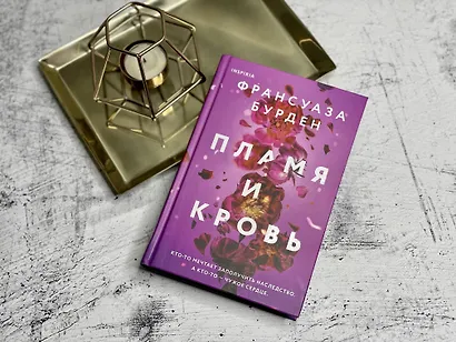 Пламя и кровь - фото 9