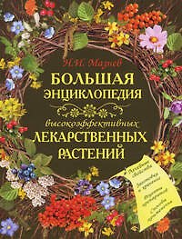 Большая энциклопедия высокоэффективных лекарственных растений - фото 1