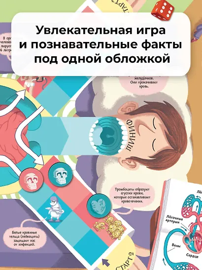 Тело человека - фото 5