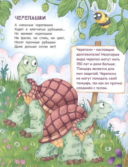 В небе и на земле - фото 2