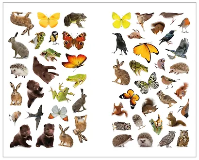 Фотонаклейки. В лесу - фото 4