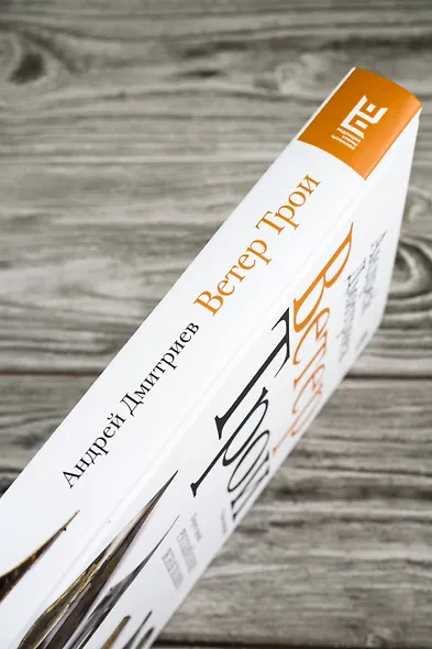 Ветер Трои - фото 7