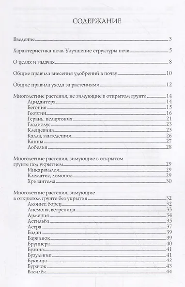 Декоративные растения открытого грунта - фото 2