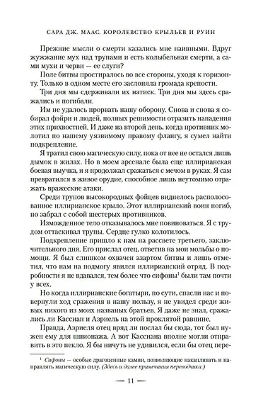 Королевство крыльев и руин - фото 14