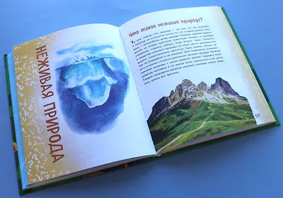 Миллион вопросов о живой и неживой природе, человеке и обществе и самых разных любопытных вещах - фото 7