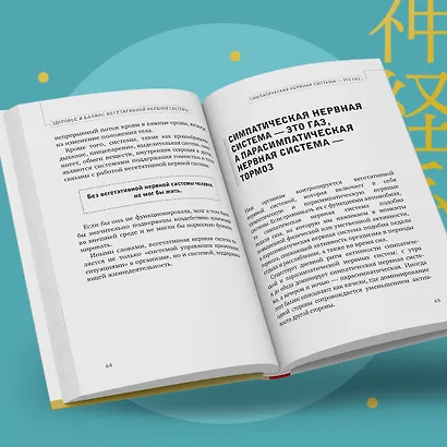 Хирурги никогда не задерживают дыхание. Японская методика для стабилизации нервной системы и управления своей жизнью, здоровьем и телом - фото 8