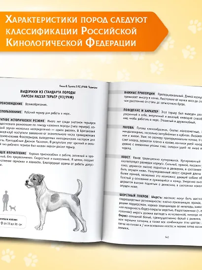 Породы собак Энциклопедия (обложка с терьером) - фото 7
