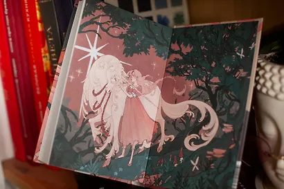 Всё началось с грифона - фото 5