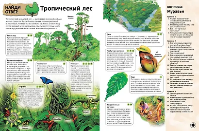 Интерактивная энциклопедия в вопросах и ответах - фото 5