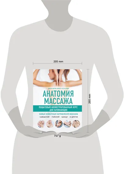 Анатомия массажа. Пошаговый иллюстрированный курс для начинающих - фото 4