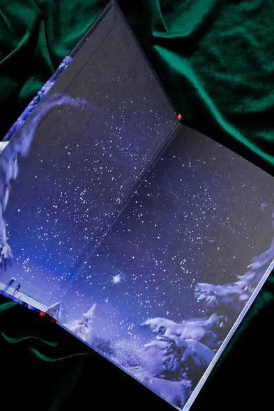 Операция Рождество, или Невероятное ограбление - фото 12