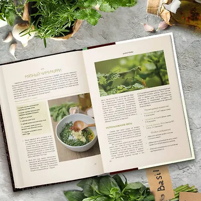 Дикие травы: как найти целебные продукты и создать собственные натуральные лекарства - фото 11