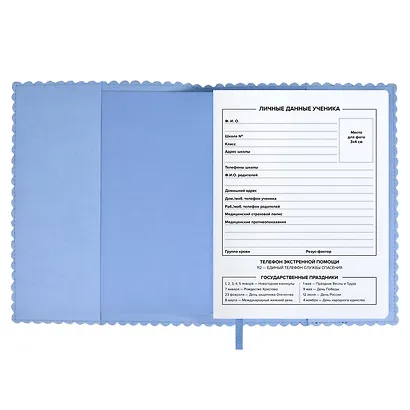 Дневник шк. "Кошачьи ушки" кожзам, мягк.переплёт, съёмная обложка, аппликация, тиснение фольгой, одно ляссе, загругл.углы, пантон, универс.шпаргалка - фото 4