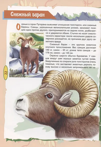 Красная книга для детей - фото 4