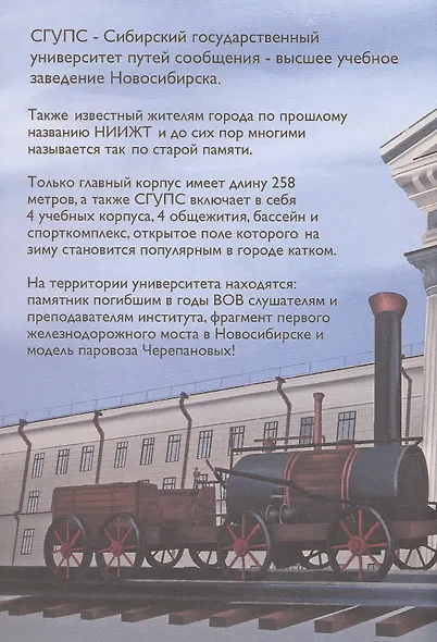Новосибирск глазами художников. НОВО-ЗИН - фото 5