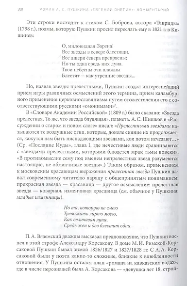 Роман А. С. Пушкина «Евгений Онегин» - фото 5