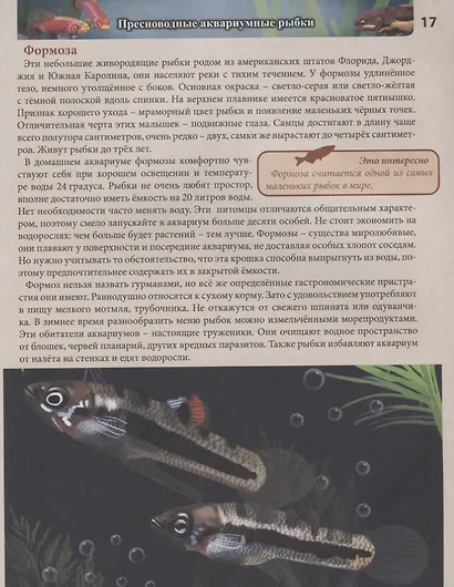 Аквариумные рыбки. Энциклопедия - фото 6