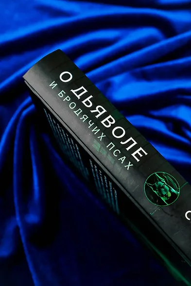 О дьяволе и бродячих псах - фото 9