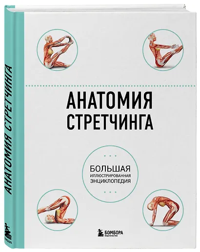 Анатомия стретчинга. Большая иллюстрированная энциклопедия - фото 3