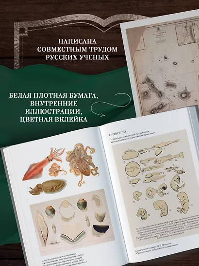 Происхождение видов путем естественного отбора - фото 5