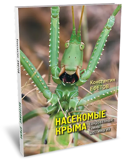 Насекомые Крыма. Сокровенные тайны шестиногих - фото 1