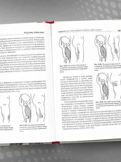 Триггерные точки. Пошаговое руководство по терапии хронических мышечных и суставных болей. Иллюстрированная энциклопедия - фото 10