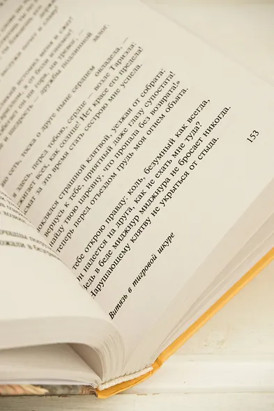 Витязь в тигровой шкуре - фото 9