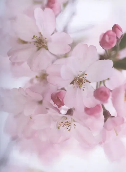 Адвокат беременных. Ваш будущий малыш под защитой. Помогаем избавиться от мифов, маркетинговых уловок, старомодных советов. - фото 7
