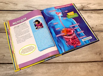 Большая энциклопедия. Тело человека - фото 7