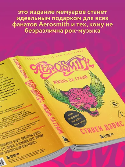 Жизнь на грани. Aerosmith - фото 6