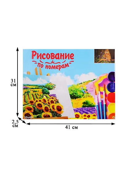Набор для раскрашивания по номерам ТМ Рыжий Кот Холст Древесная сова 30х40см Х-9103 - фото 2