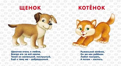 Книжки-картонки. Домашние животные - фото 2