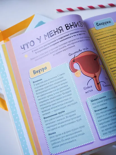 Как взрослеют девочки. Гид по изменениям тела и настроения - фото 11