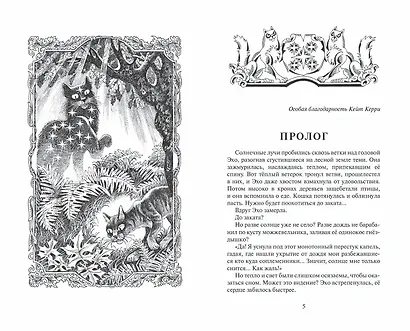 Гроза и Тень - фото 6